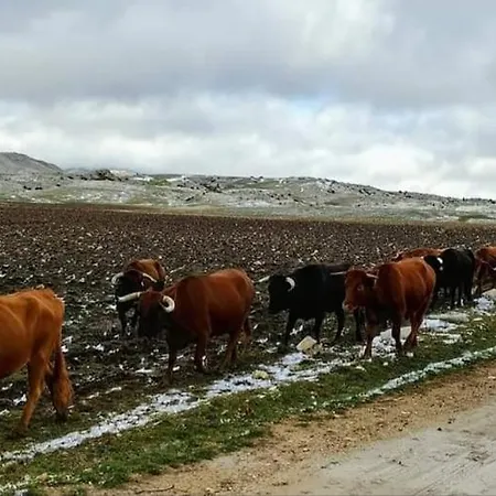 Rural El Penon De Hébergement de vacances Hornos
